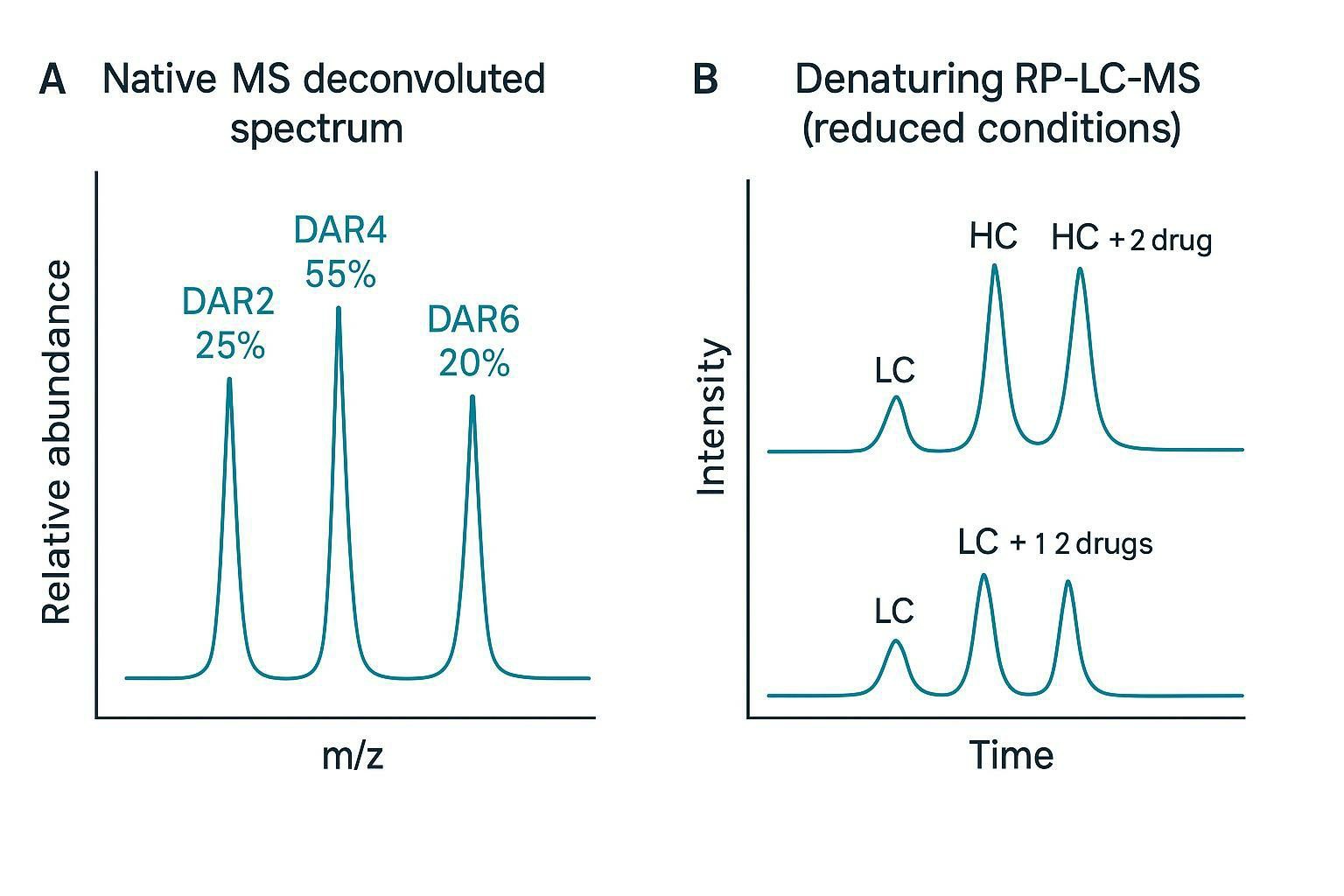 Native MS spectrum of a cysteine-linked ADC showing resolved DAR2, DAR4, and DAR6 peaks with relative abundance percentages, alongside a denaturing RP-MS spectrum under reduced conditions showing heavy-chain and light-chain drug load assignment