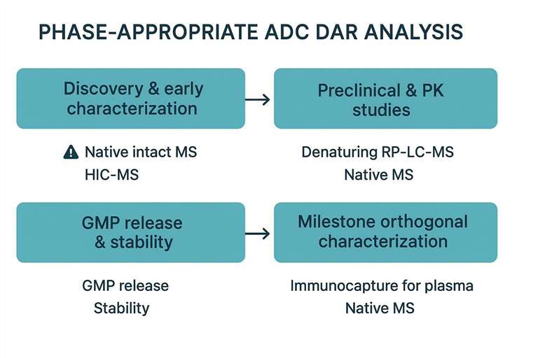 A stepwise workflow from discovery to GMP showing recommended primary DAR method and orthogonal method pairings at each phase, with specific attention to sample handling and potential assay artifacts