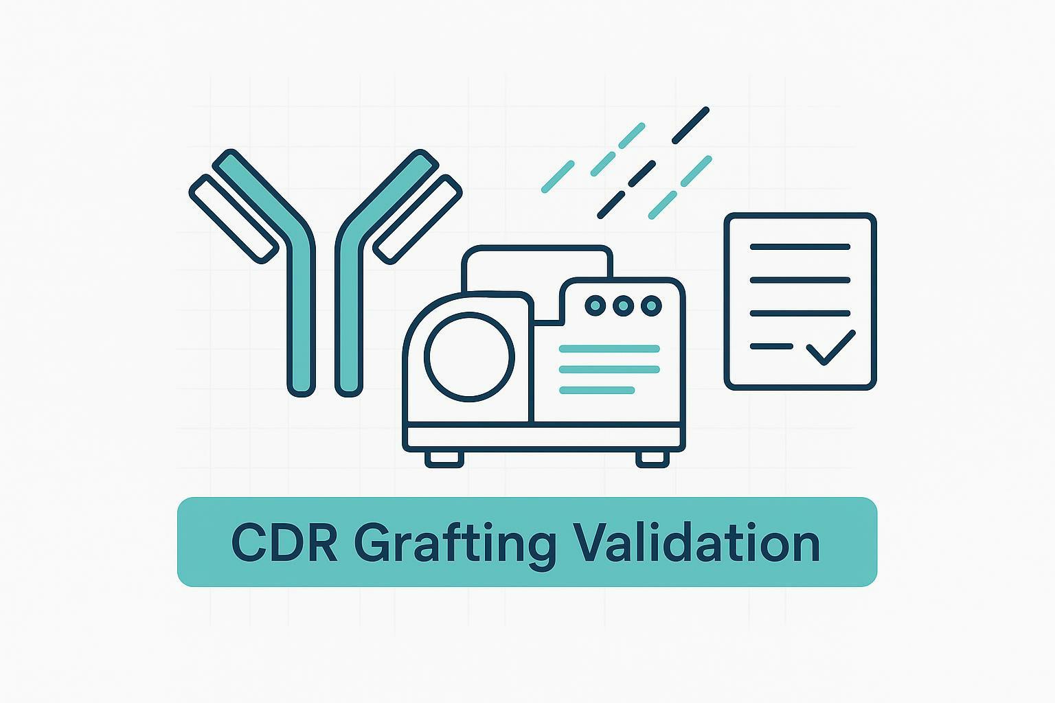 Antibody Humanization Validation: Confirm CDR Grafting by Mass Spectrometry