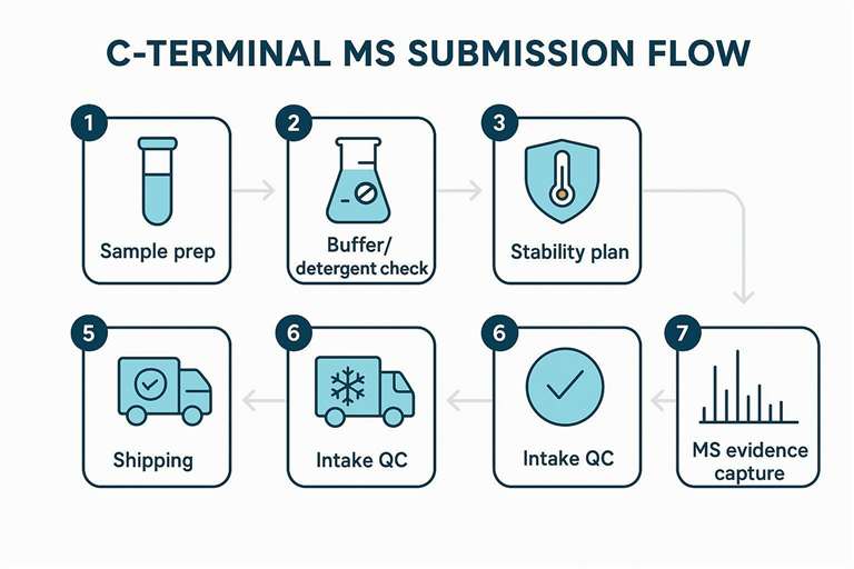 Infographic of end-to-end submission flow for C-terminal MS samples