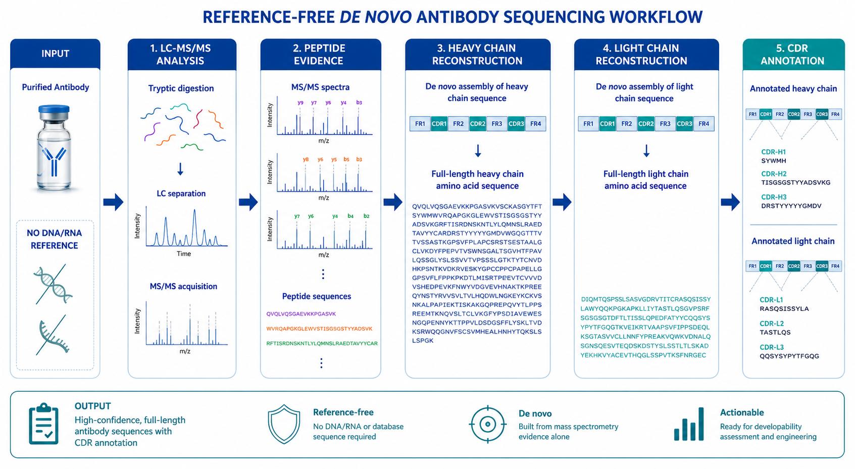 De Novo Antibody Sequencing Without a Reference Genome: A Practical Guide