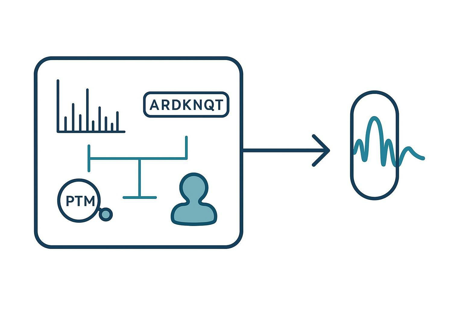 LC-MS/MS support diagram showing peptide-spectrum matches, de novo peptide sequences, PTM evidence, and candidate protein identities supporting nanopore signal interpretation