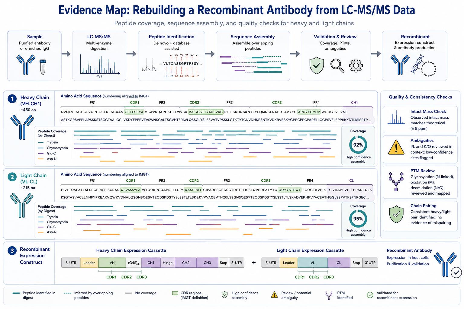 Evidence map for recombinant antibody rebuilding from LC-MS/MS heavy chain, light chain, CDR, and peptide coverage data