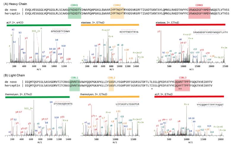 Mass spectrometry-based de novo sequencing of the monoclonal antibody herceptin.
