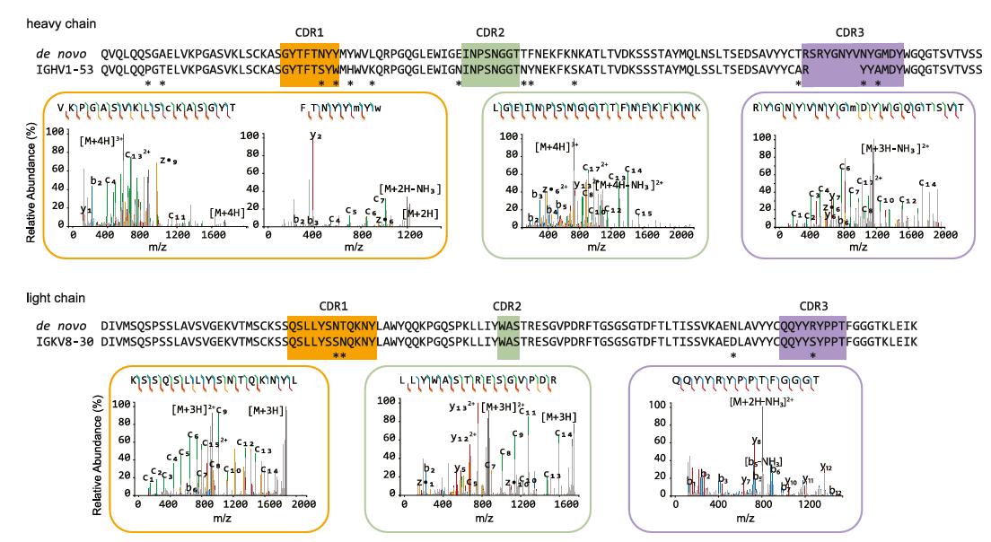 Antibody Sequencing for Monoclonals, Hybridomas, Biosimilars
