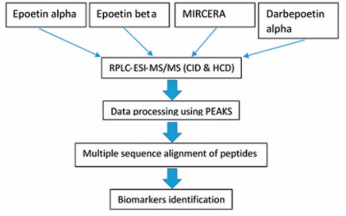 Erythropoietin Biosimilar Profiling Flowchart