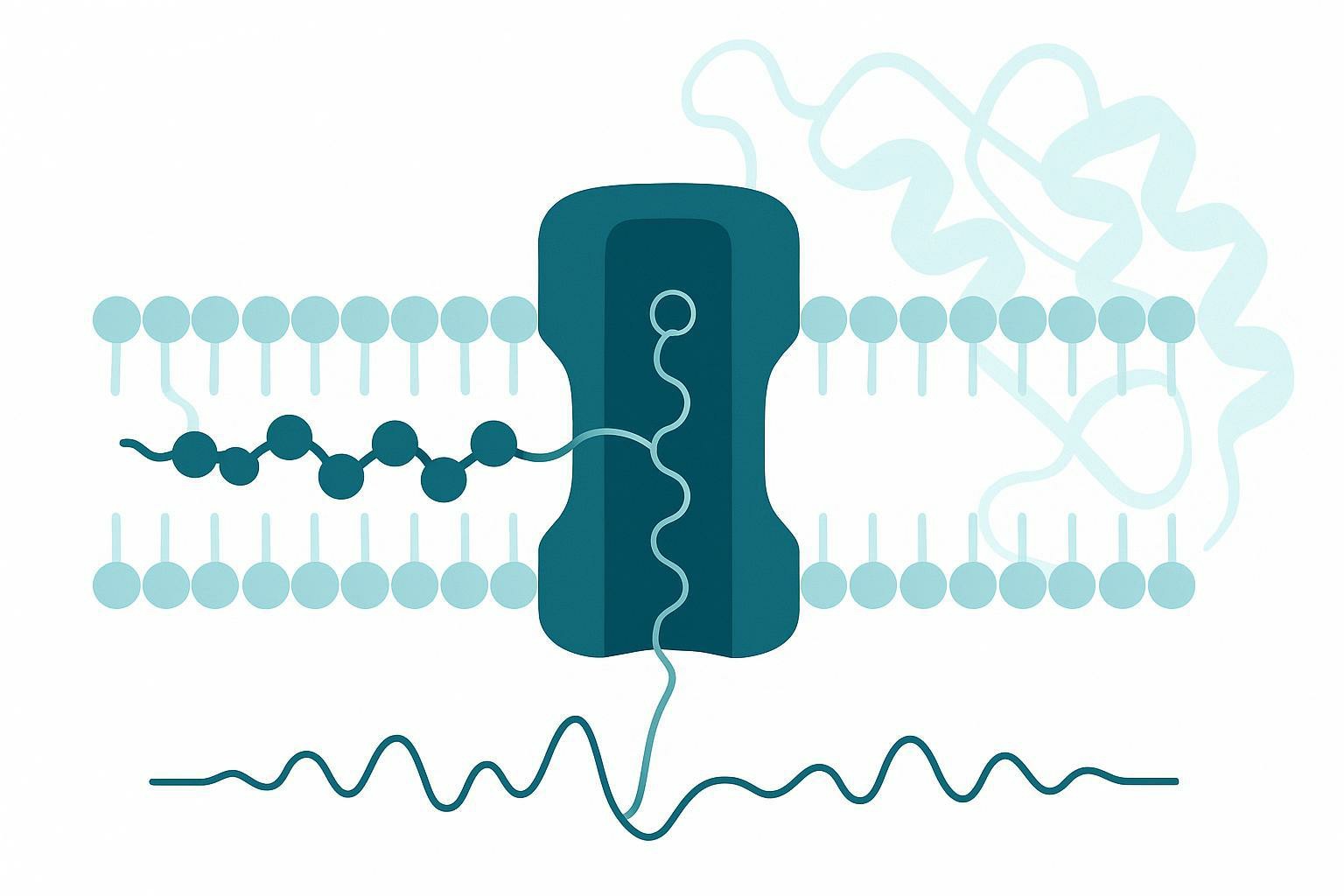 Nanopore Protein Sequencing for Full-Length Proteins, Proteoforms, and PTM Research
