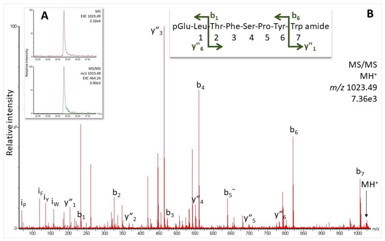 How Peptide Sequencing Drives Drug Discovery and Biomarker Validation