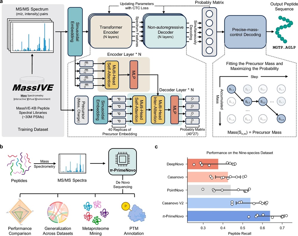 Model architecture overview: Our model takes MS/MS spectra as input and generates the predicted peptide sequence