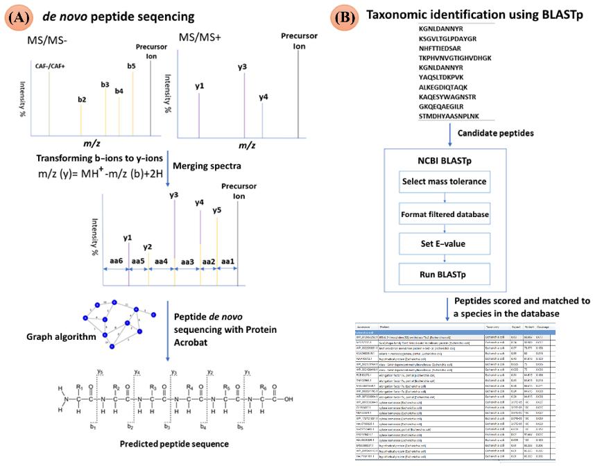 Integrated workflow for species identification via de novo peptide sequencing