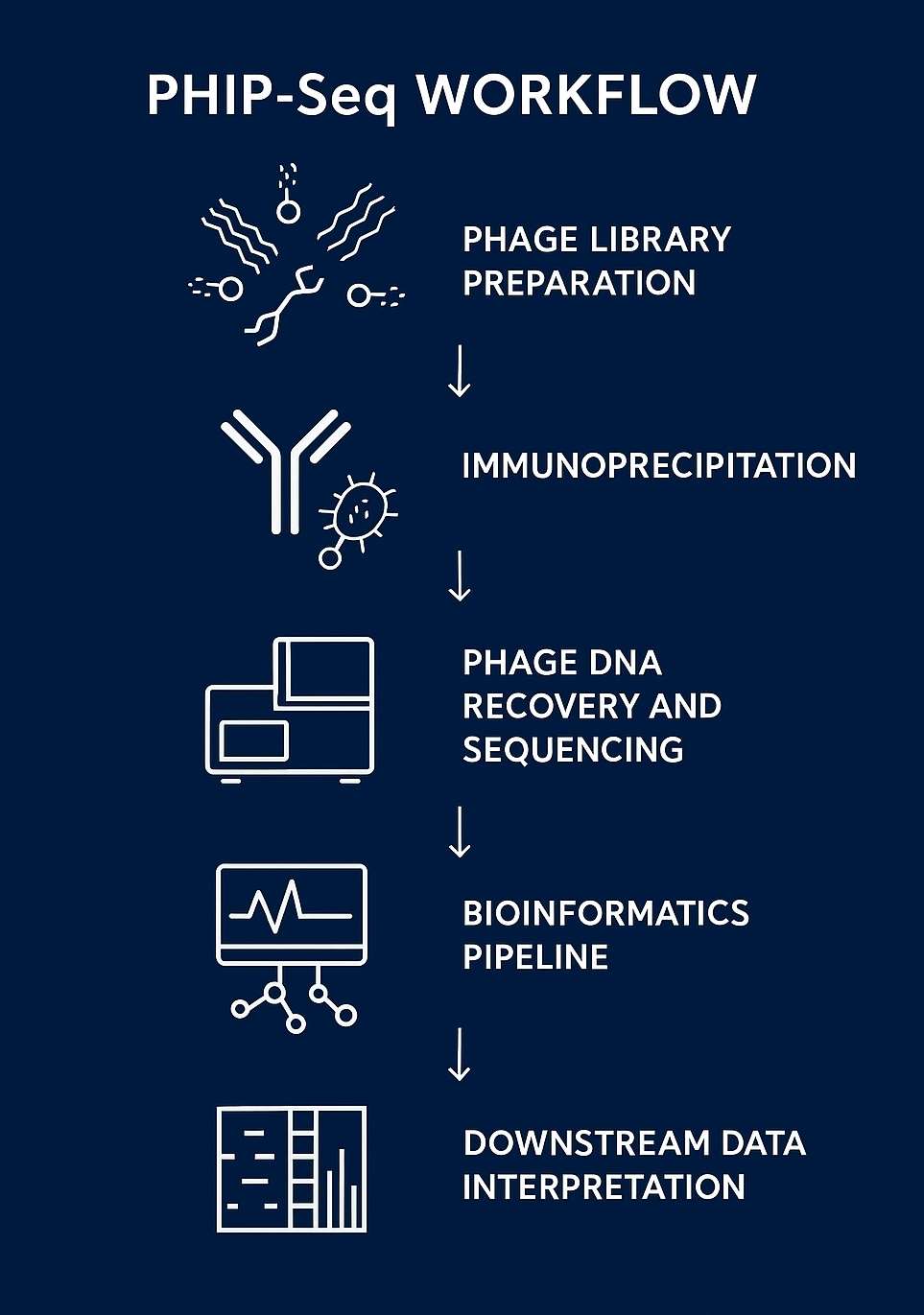 PHIP-Seq five-step experimental workflow with icons and brief descriptions