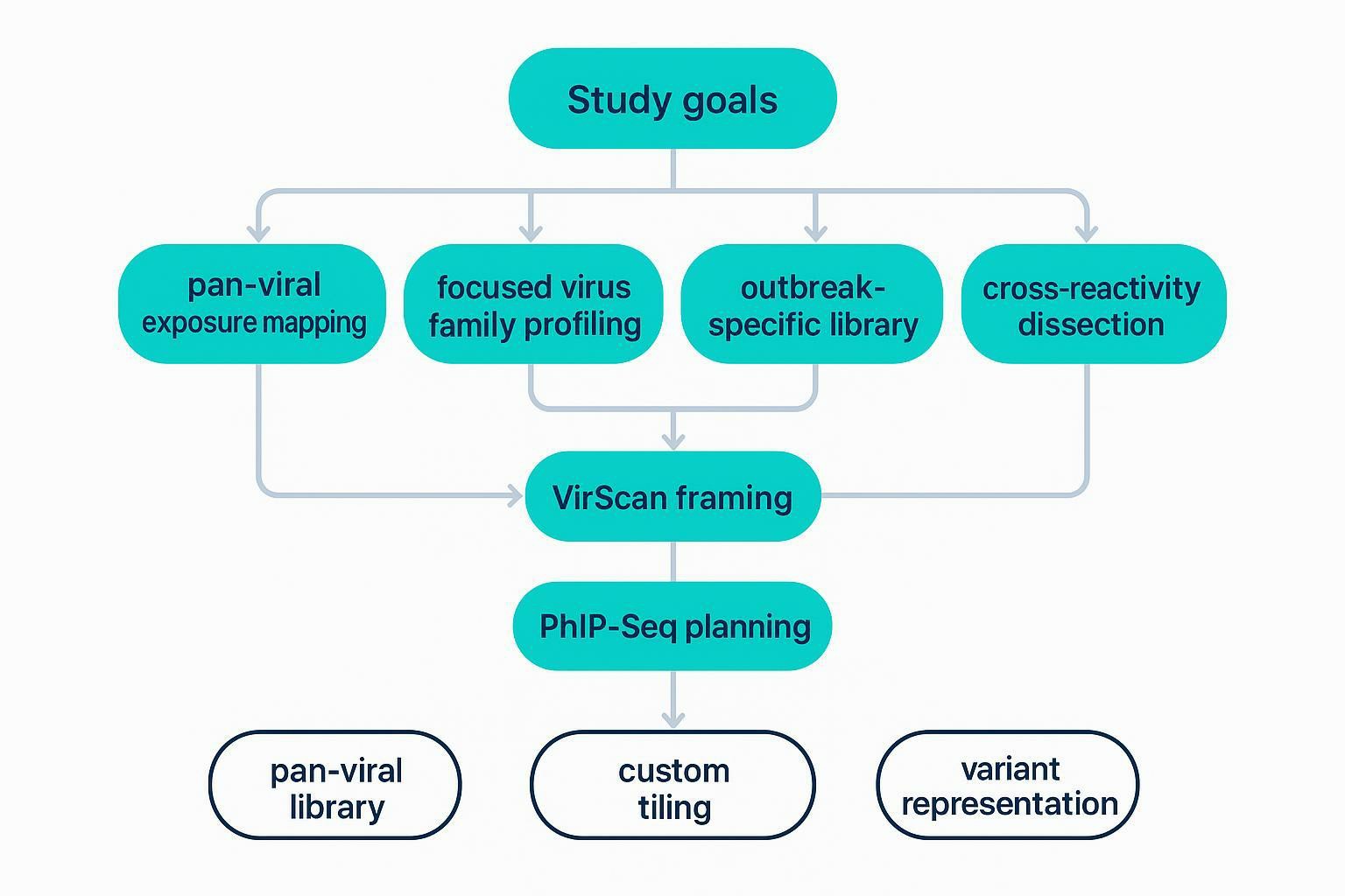 Workflow decision diagram mapping study goals to VirScan or PhIP-Seq strategies and library choices.