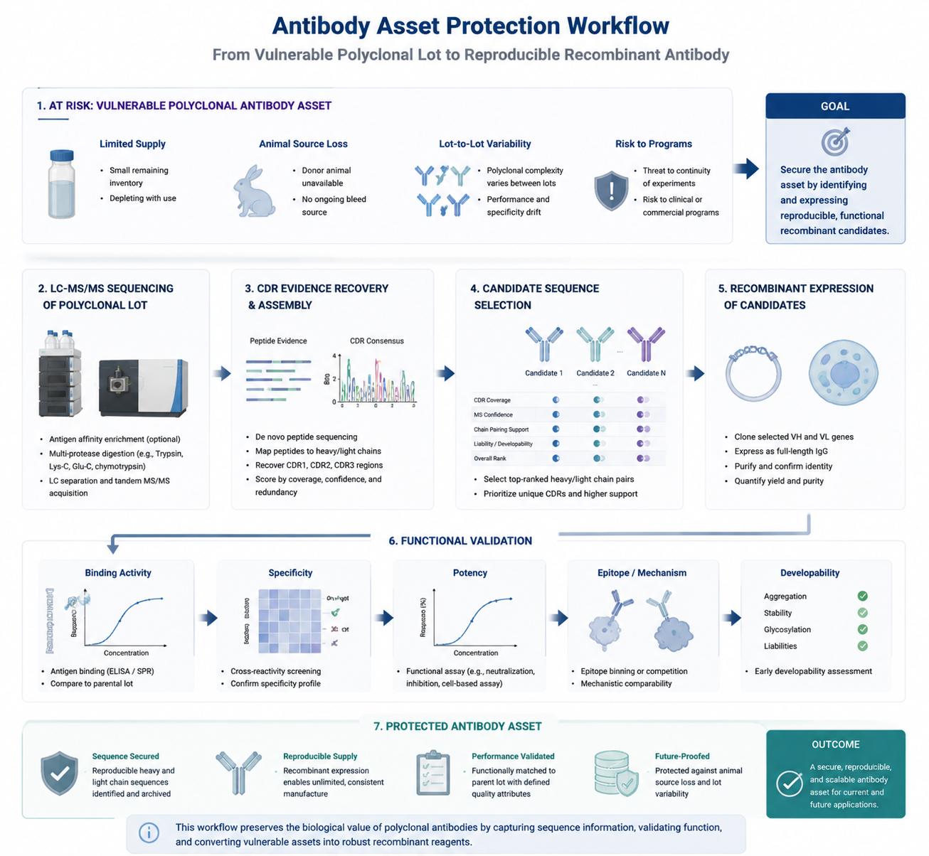 Polyclonal Antibody Sequencing for Recombinant Transition and Antibody Asset Protection