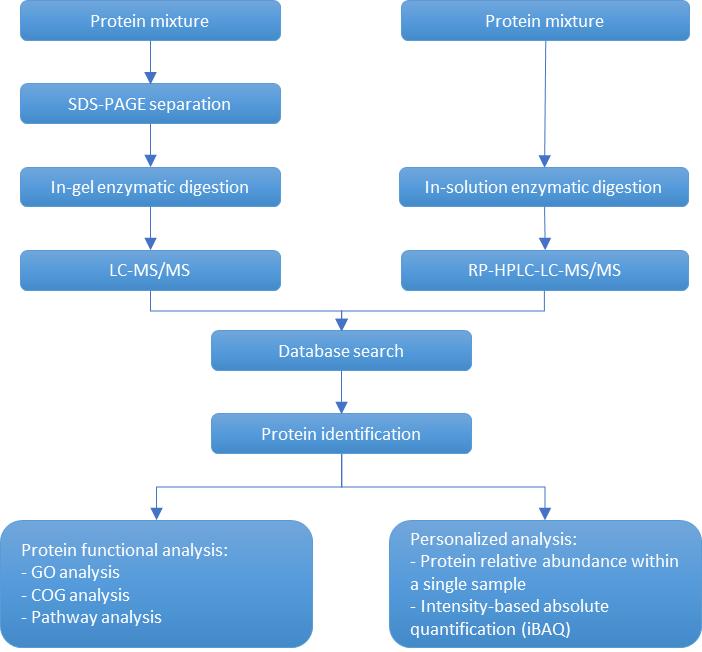 Process of protein gel band/mixed solution identification