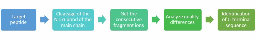 Process of protein N/C-termini identification based on MALDI-ISD
