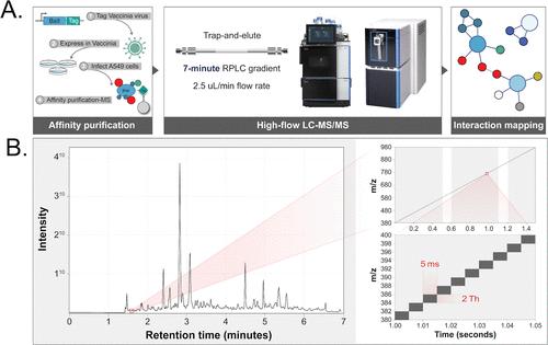 Workflow Diagram: Rapid Liquid Chromatography Separation and Mass Spectrometry Identification of Protein Complexes