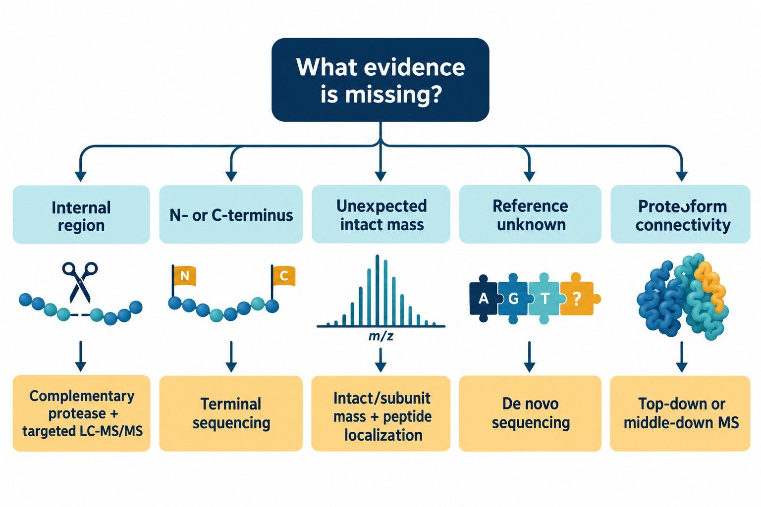 Decision tree for resolving protein sequence evidence gaps