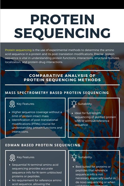 Protein Phosphorylation Analysis