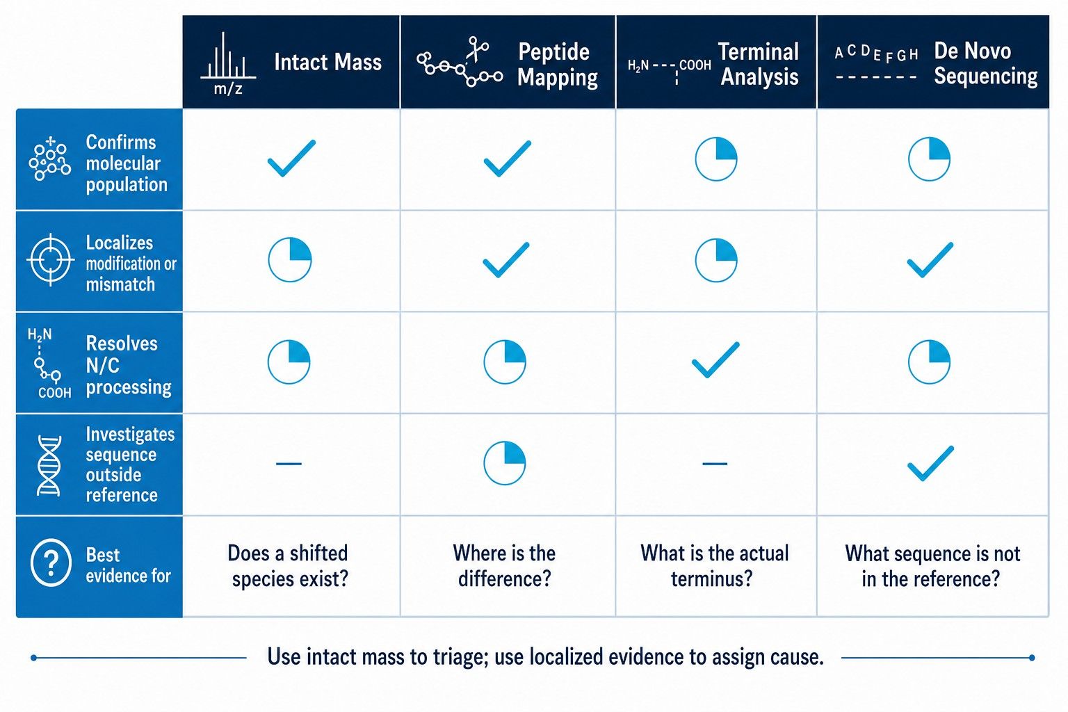 Evidence matrix for recombinant protein mass shifts comparing intact mass, peptide mapping, terminal analysis and de novo sequencing