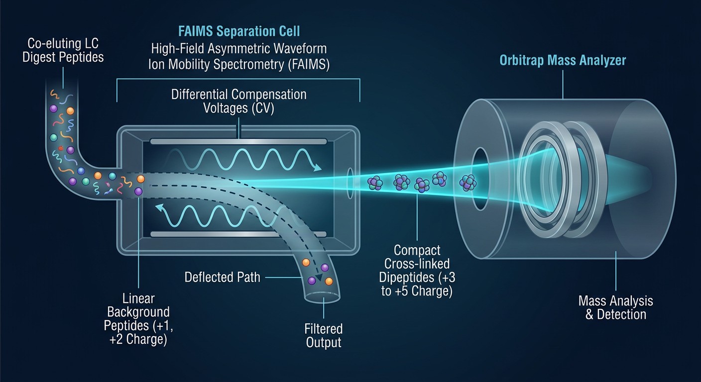 FAIMS Gas-Phase Ion Mobility Separation Principle
