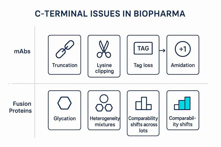 Taxonomy of C-terminal truncation, tag loss, heterogeneity, and comparability risks