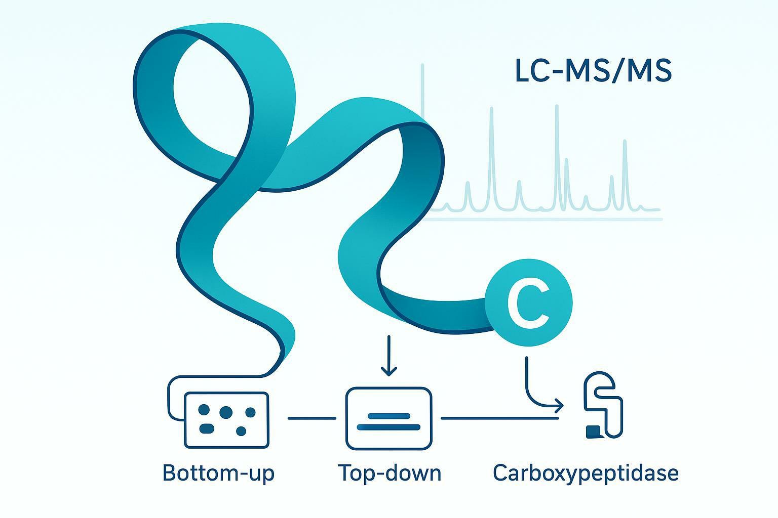 C-Terminal Protein Sequencing: A Comprehensive Practical Guide