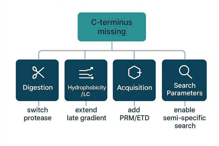 Troubleshooting flowchart for missing C-terminus branching to digestion, LC, acquisition, and search settings with recommended actions.