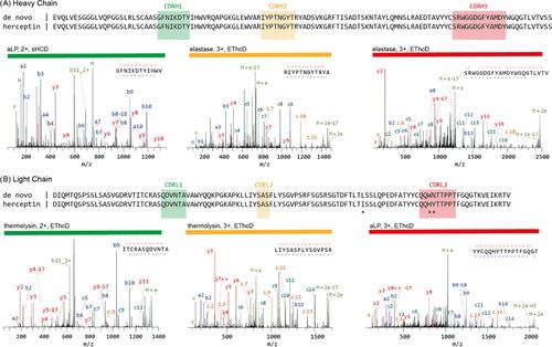 What Is Antibody Sequencing? A Comprehensive Overview