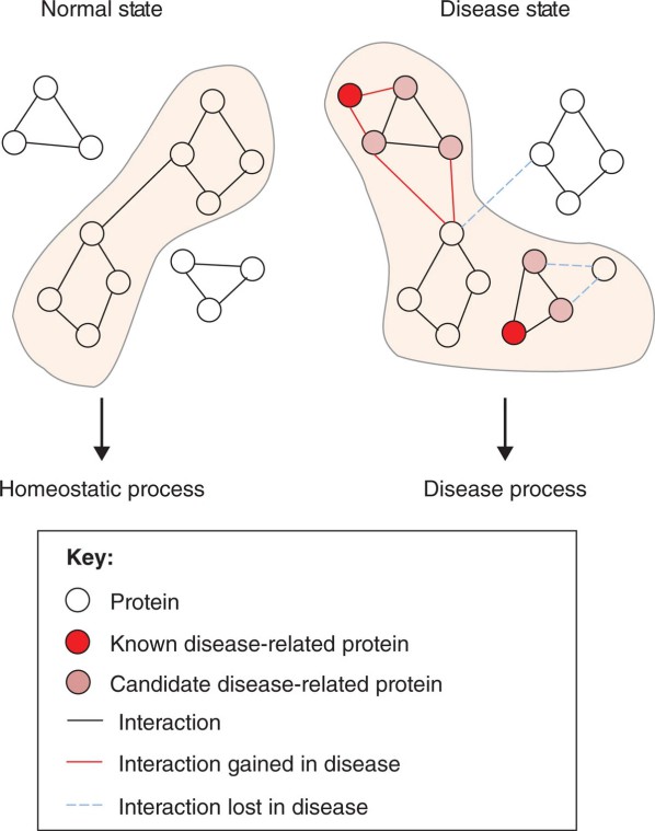 Schematic of alterations in PPIs under pathological conditions.