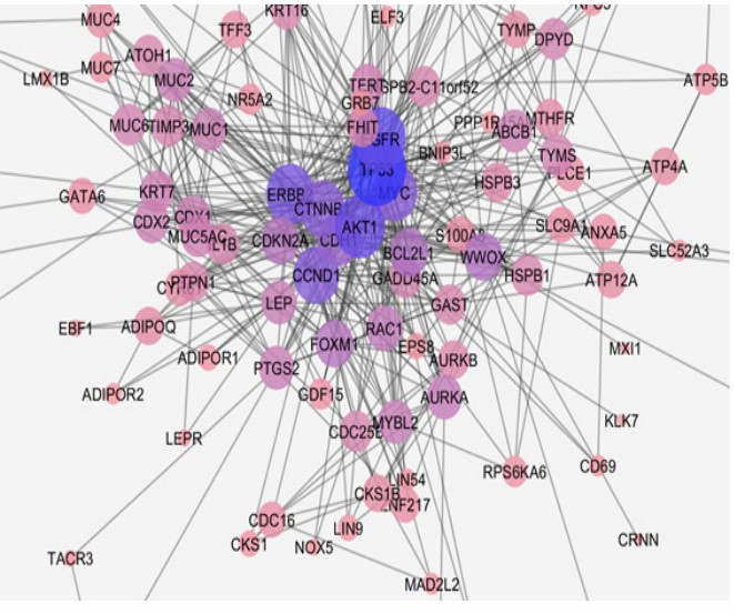 Connected component of PPI network of esophageal adenocarcinoma.