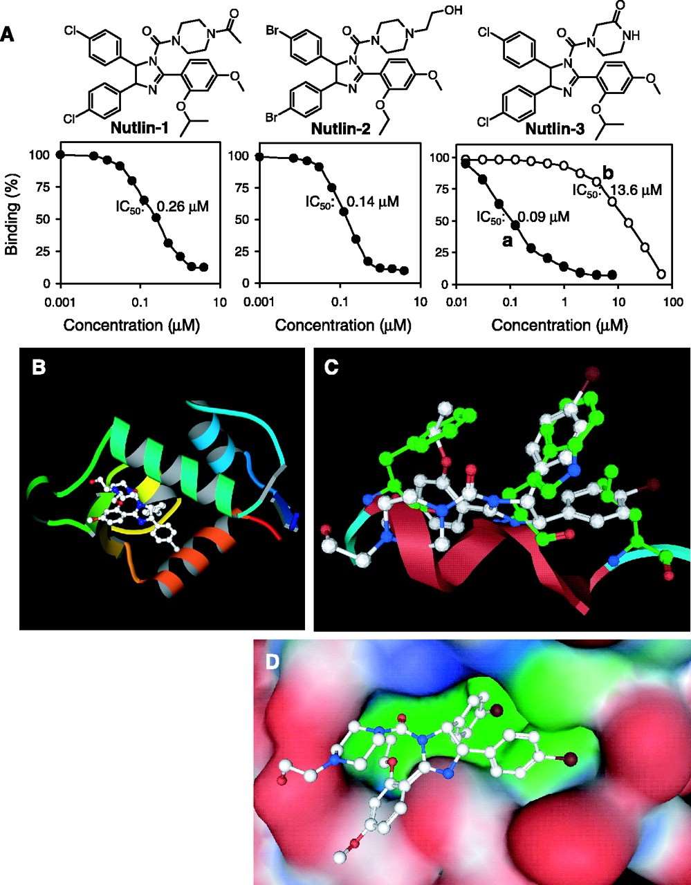 Structure and binding mode of MDM2 inhibitors.