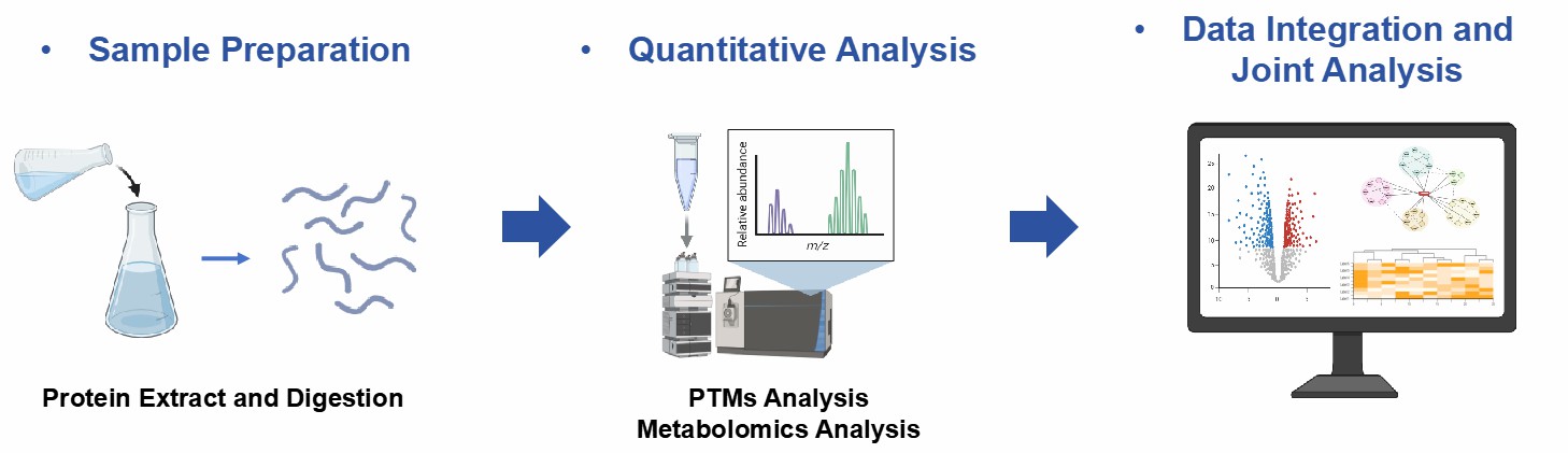 Workflow for PTM and metabolomics integration analysis