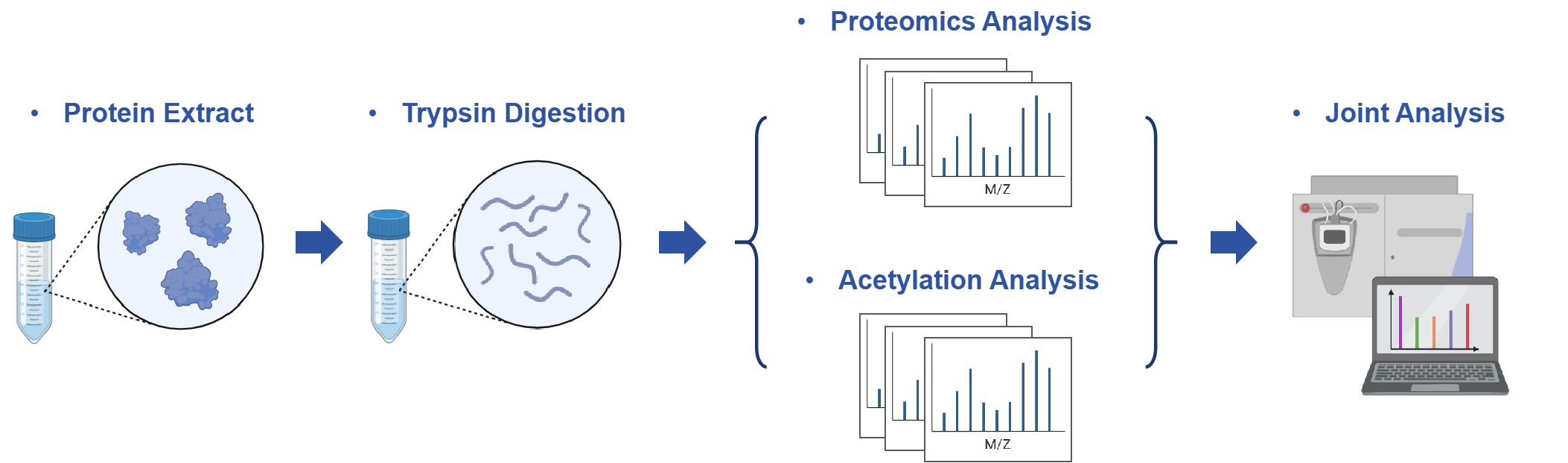Workflow for integrative analysis services of acetyl-proteomics