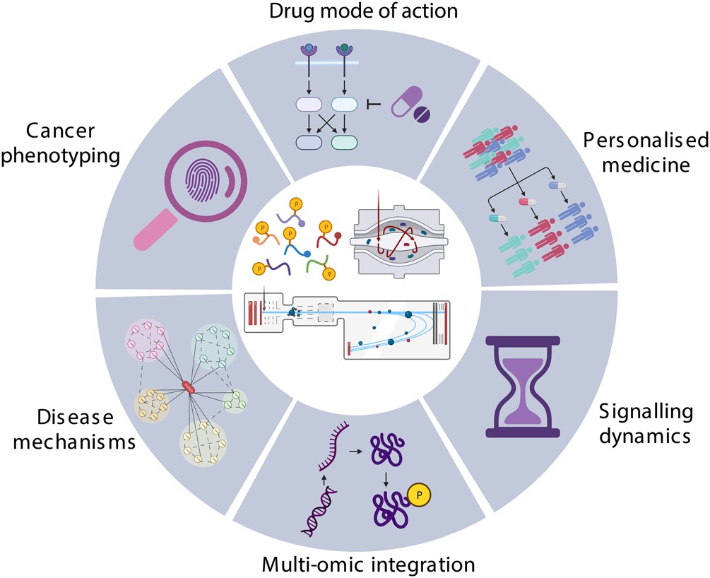 Application of phosphoproteomics.