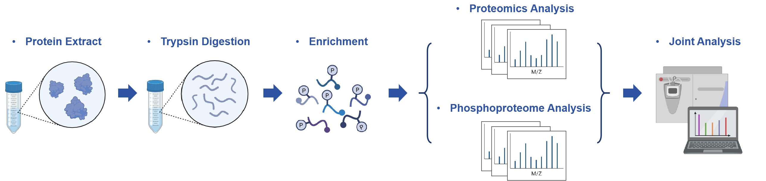 Workflow for proteomics and phosphoproteome integrative analysis.
