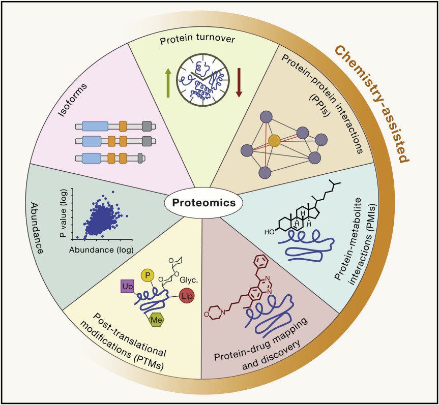 Biological studies enabled by proteomics.