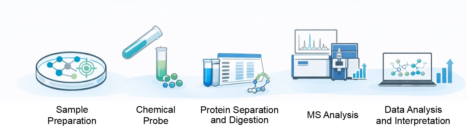 Creative Proteomics' chemical proteomics service workflow.