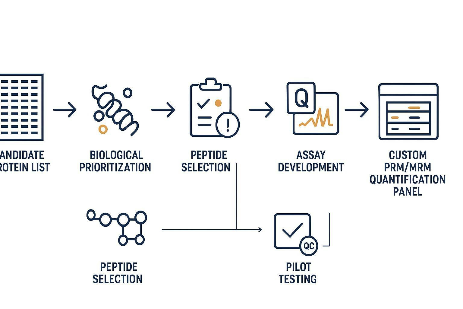 Custom PRM MRM panel development workflow