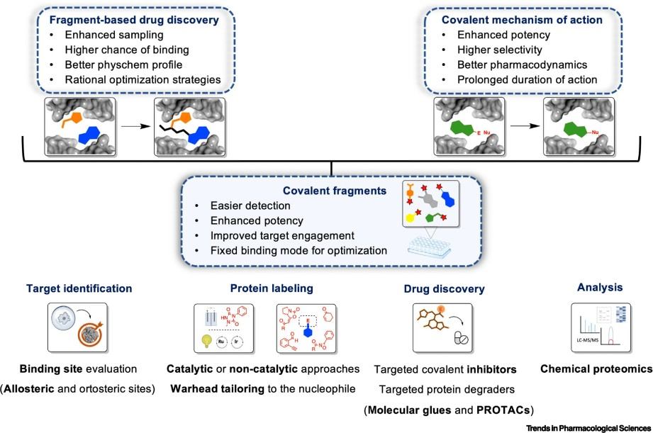 Introduction of covalent fragments, warheads and labeling chemistries.