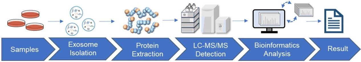 Standardized workflow for exosome proteomics services.