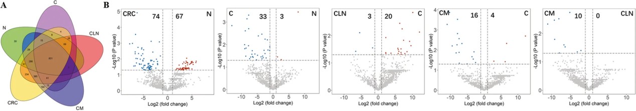 Proteomic profiling and comparison of urinary exosomes.