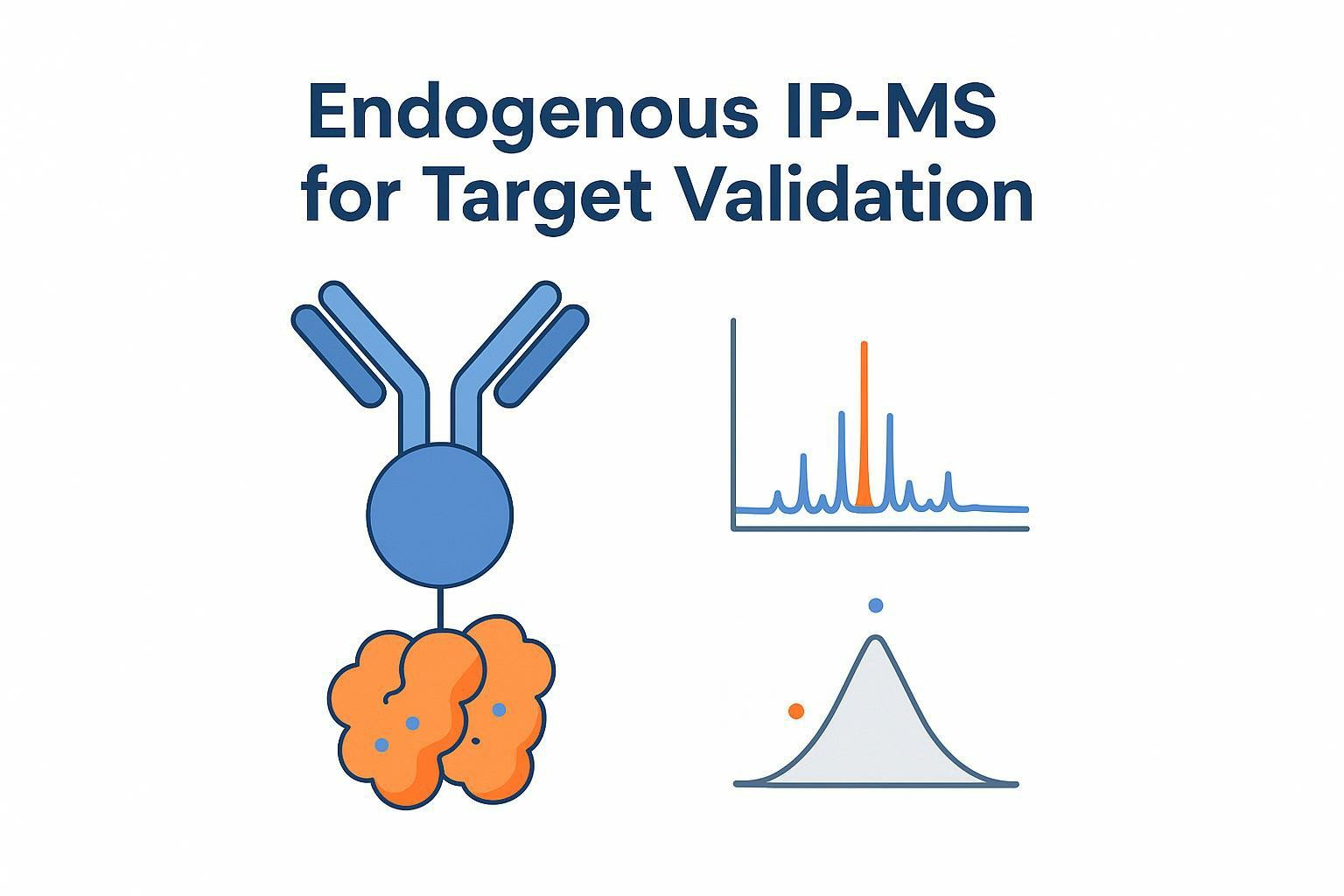 Cover image showing antibody pulldown, mass spectrum trace, and volcano plot for endogenous IP-MS target validation.