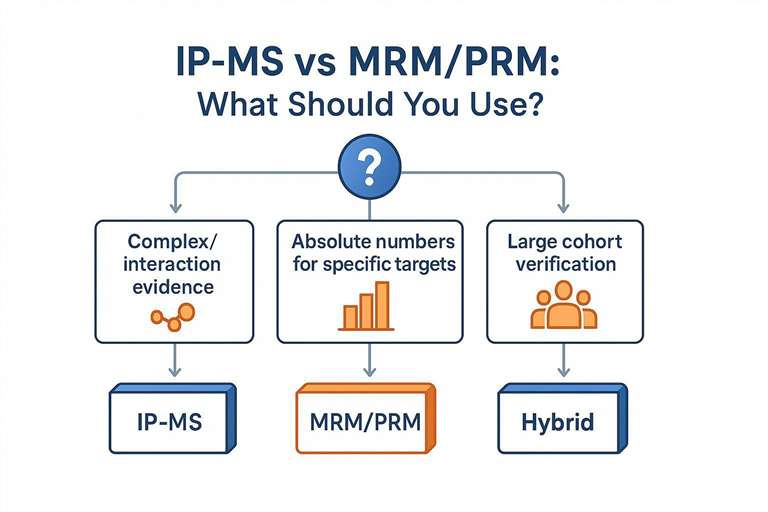 Decision tree comparing IP-MS and MRM/PRM for precise quantification and orthogonal validation in proteomics.