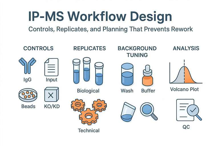 Cover image: IP‑MS workflow design with controls, replicates, background, and analysis icons.
