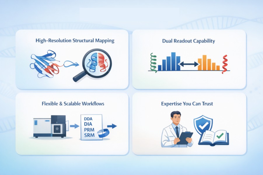 Creative Proteomics’ LiP-MS services.