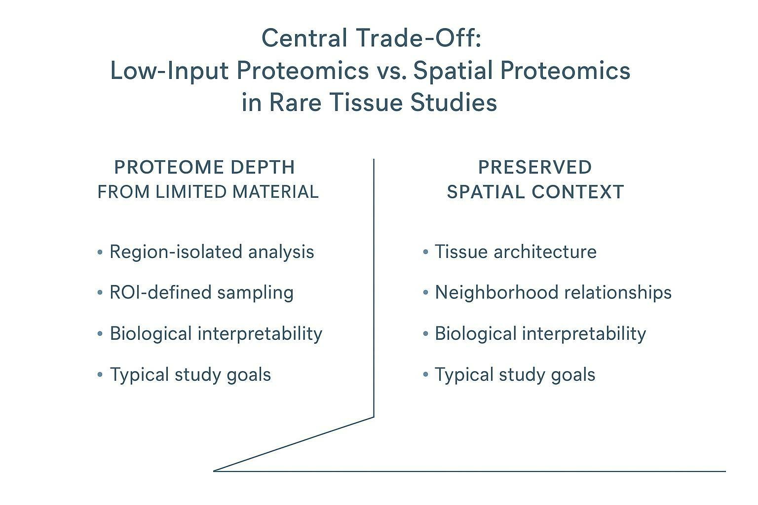 Low-input proteomics vs spatial proteomics trade-off for rare tissue studies