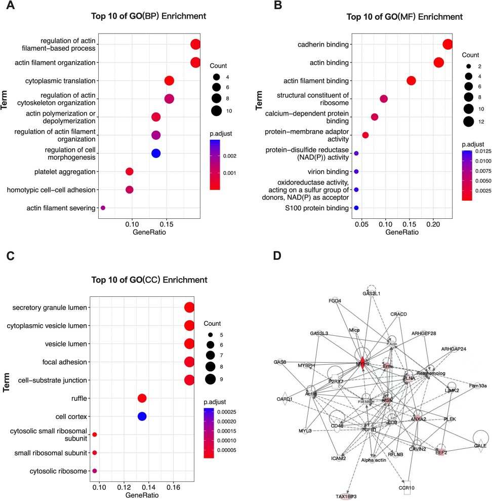 GO enrichment analysis and PPI network construction of membrane proteins.