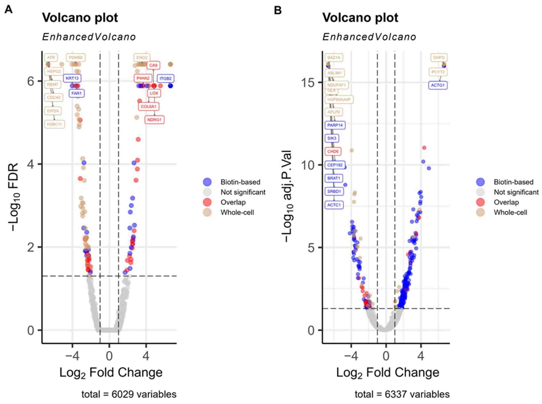 Volcano plots of differentially abundant proteins.
