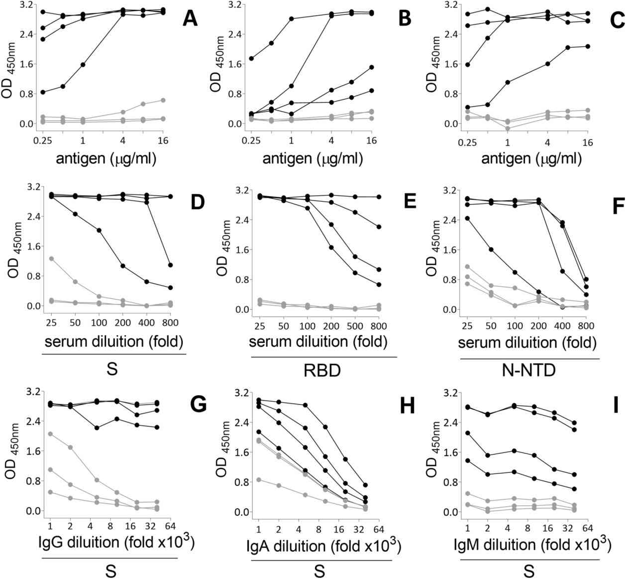 Results of serum antibodies against SARS-CoV-2 S protein.