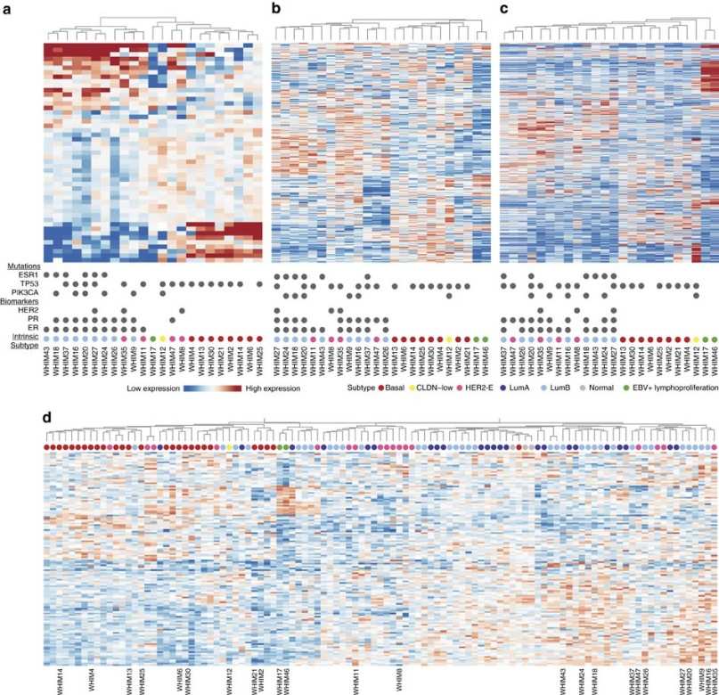Results of transcriptomic and proteomic clustering.